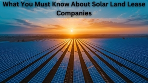 Essential insights on solar land lease companies Essential insights on solar land lease companies